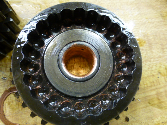 P1050269.JPG